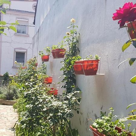 Garden Apartments Belgrado Buitenkant foto