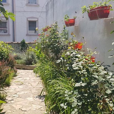 Garden Apartments Belgrado Buitenkant foto
